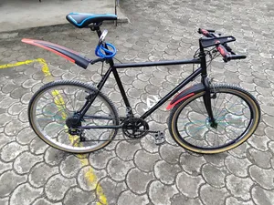 Creeper Bicycle