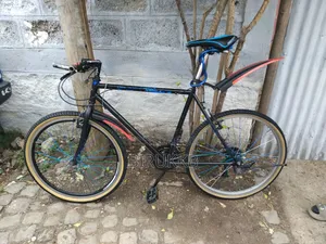 Creeper Bicycle