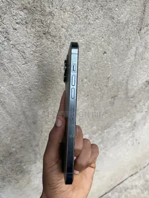 Apple iPhone 13 Pro Max 256 GB Gray