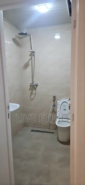 2bdrm Apartment in Bole for rent