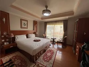 Furnished 1bdrm Apartment in Bole for rent