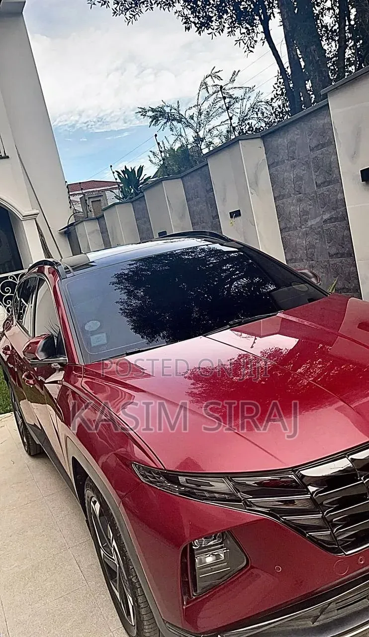 Hyundai Tucson Limited 2021 Burgundy