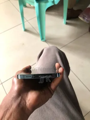 Apple iPhone 12 Pro Max 256 GB Blue