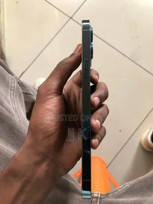 Apple iPhone 12 Pro Max 256 GB Blue