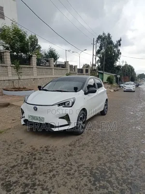 Changan BenBen 2024 White