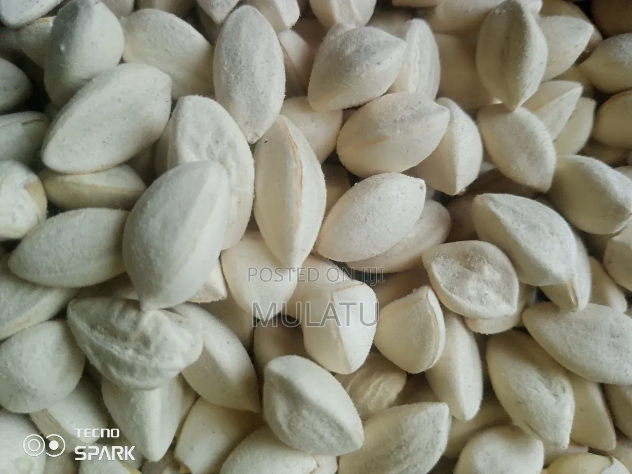 Moringa Seed, Moringa Powder Helath and Natural