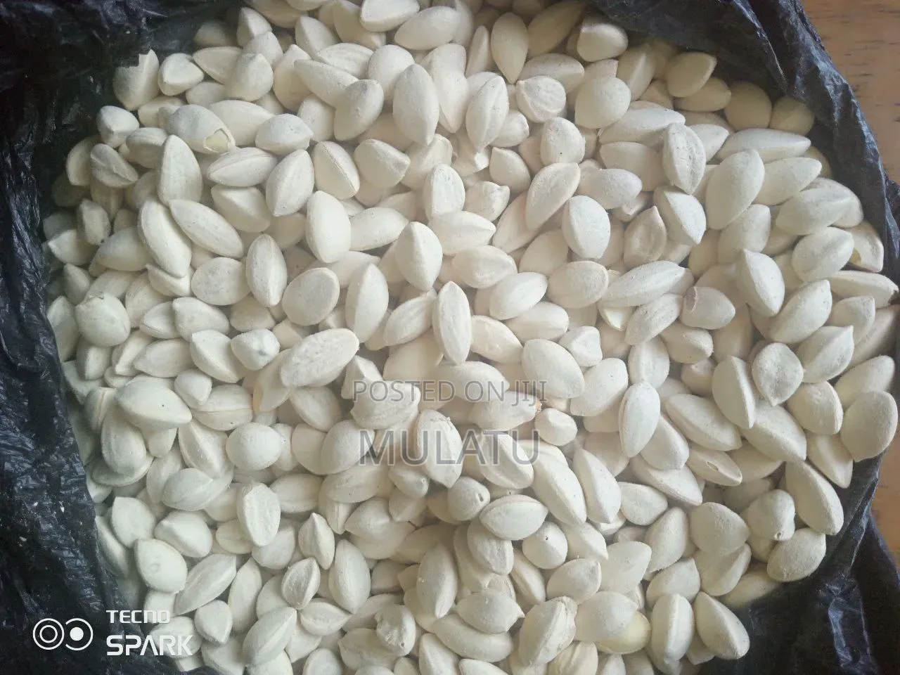 Moringa Seed, Moringa Powder Helath and Natural