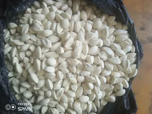 Moringa Seed, Moringa Powder Helath and Natural
