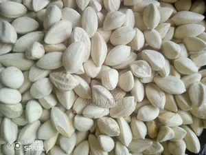 Moringa Seed, Moringa Powder Helath and Natural