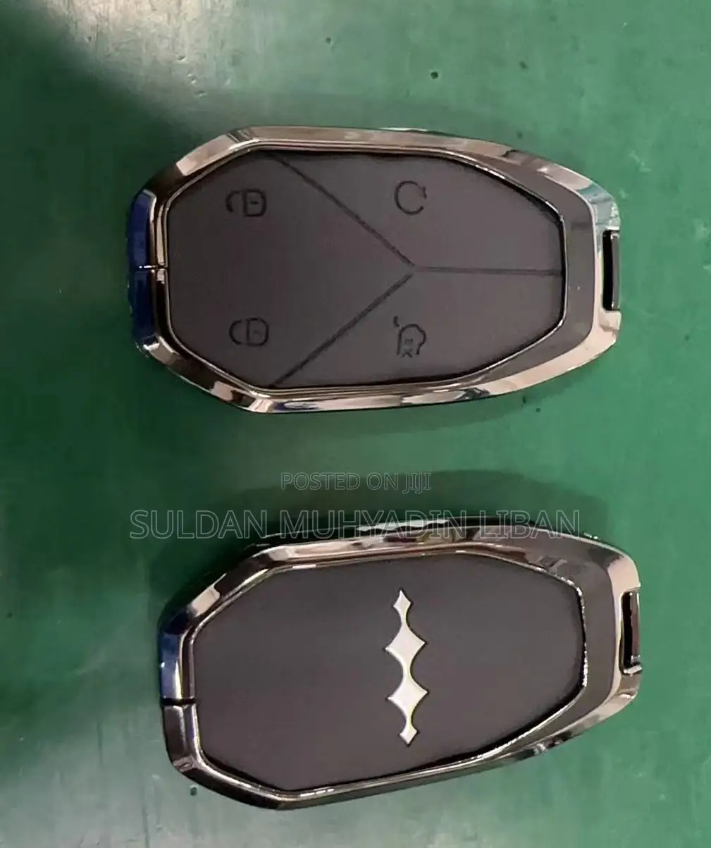 Byd Car Key Holder