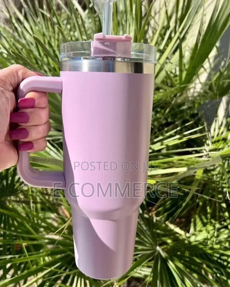 Double Layer Stainless Still Isolated Tumblers With Straw (Travel Cup)
