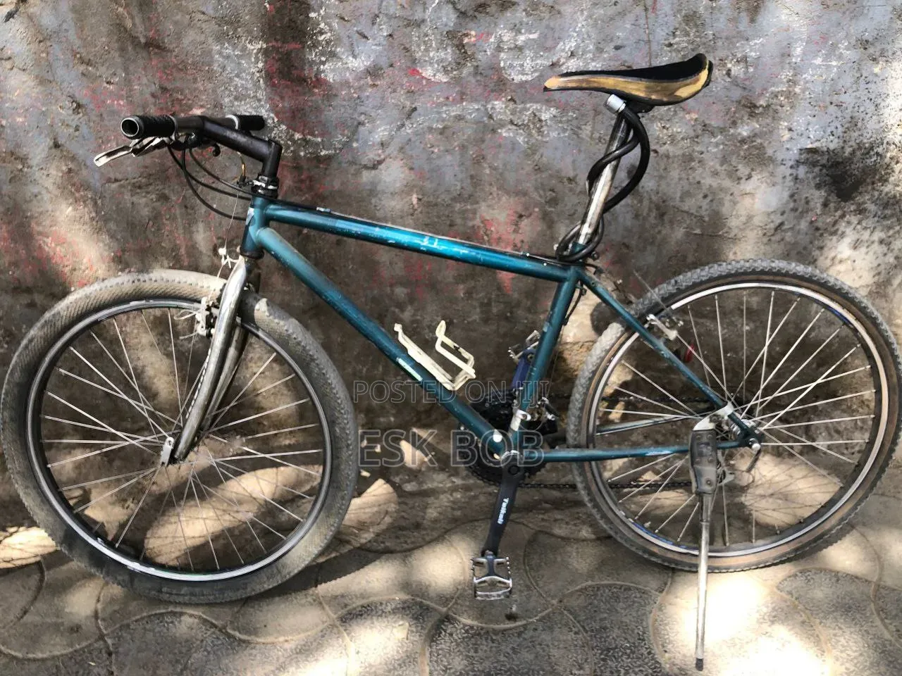 Nishiki Bike