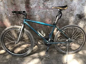 Nishiki Bike