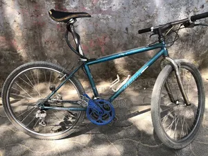 Nishiki Bike