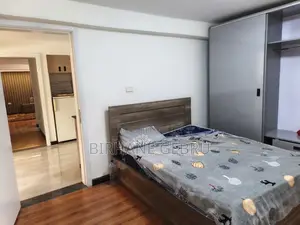 Furnished 8bdrm House in G+3 House Fernished, Bole for rent