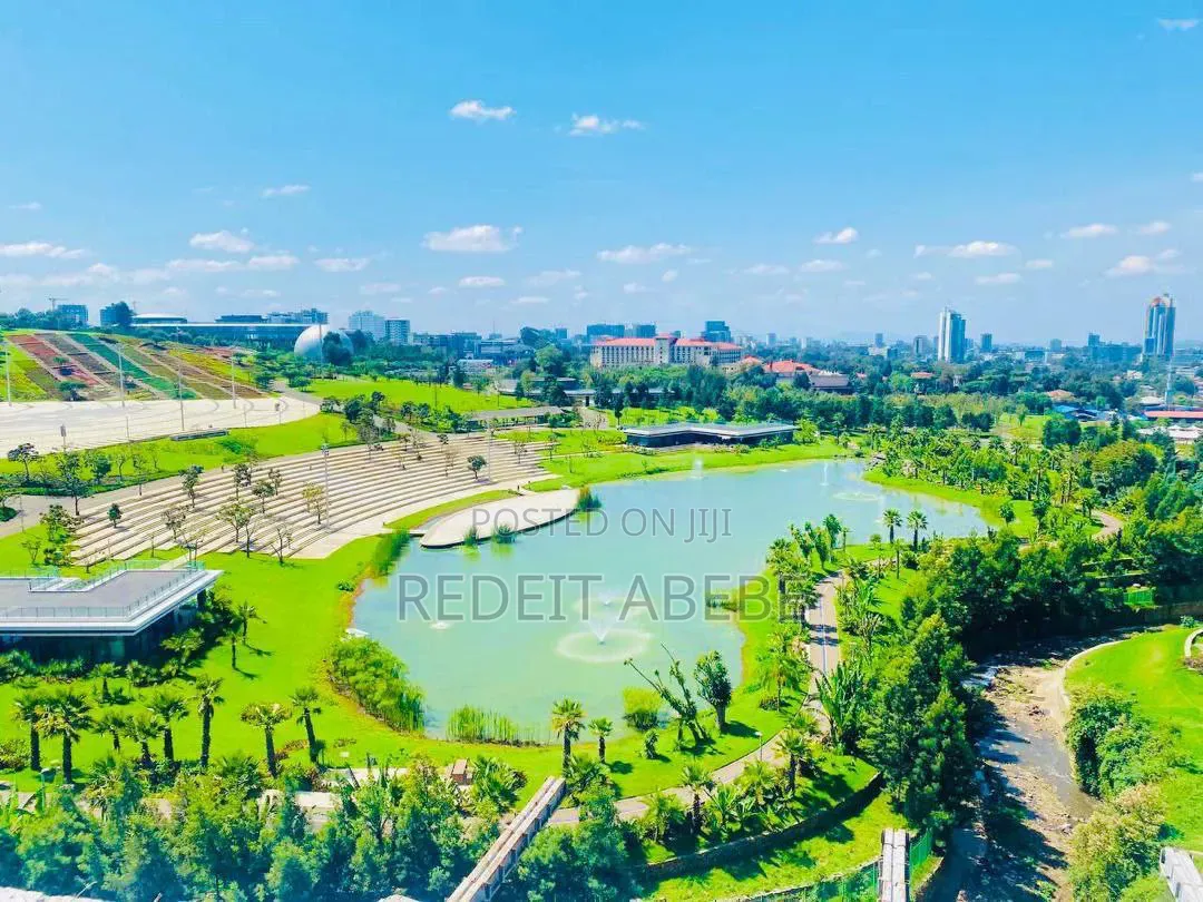 3bdrm Apartment in Lideta for sale