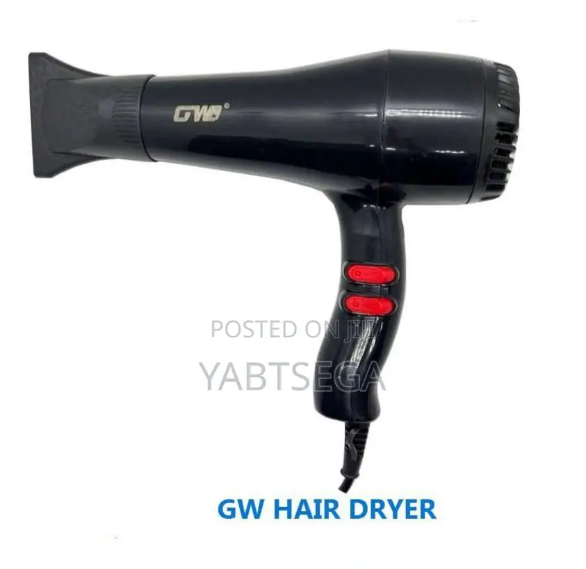 Gw Hair Dryer