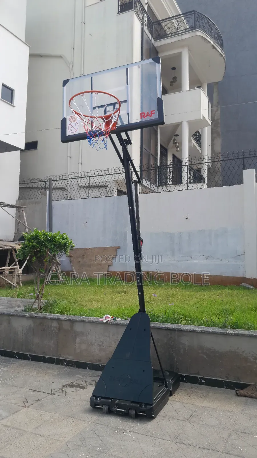 ቅርጫት ኩዋስ እርሶም ይዘዙን