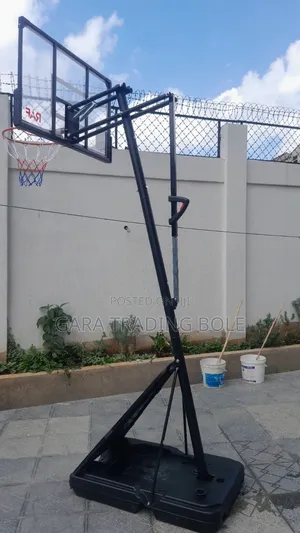 ባስኬት ቦል መጫወቻ