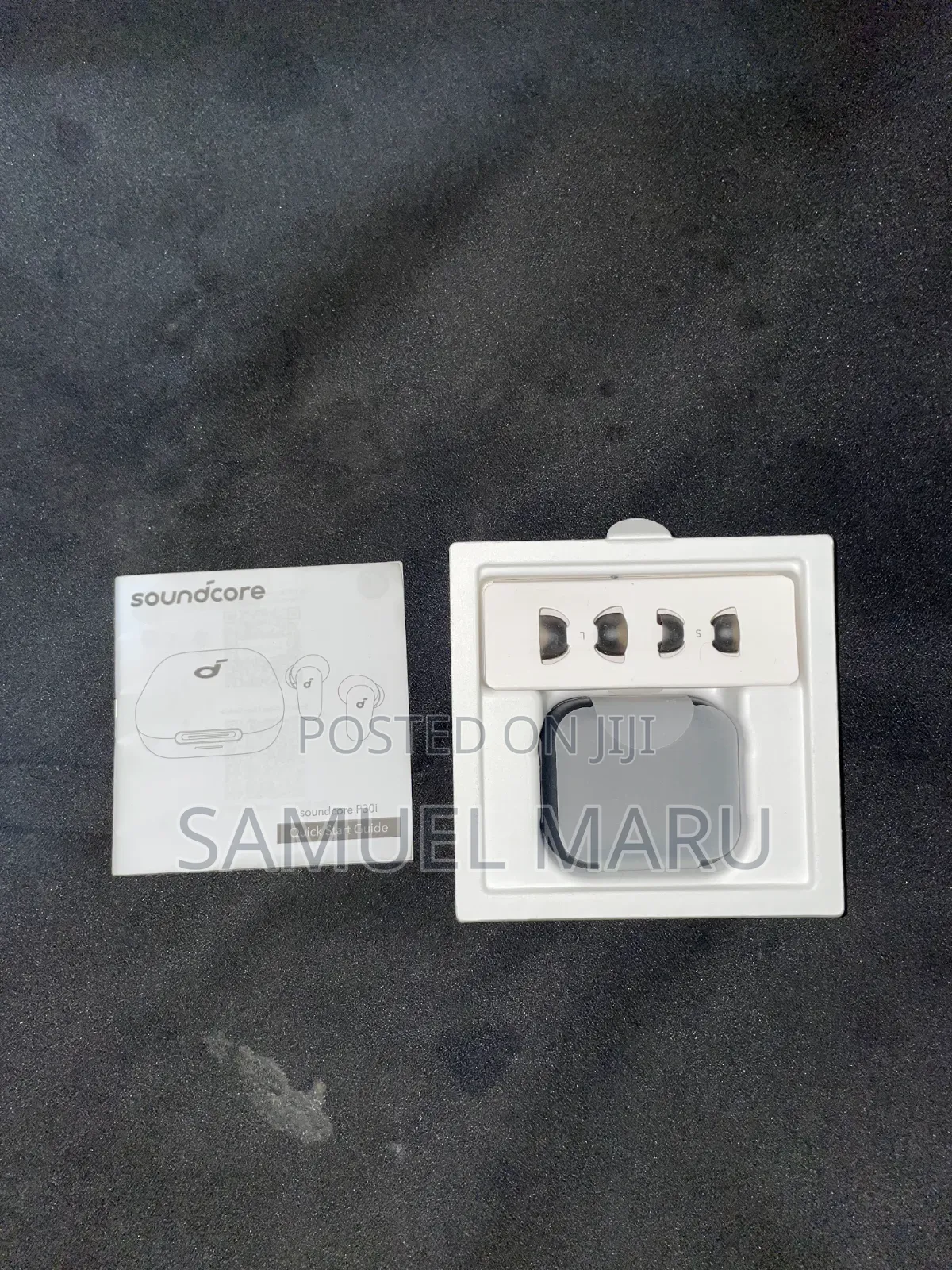 Ear Bud P30i