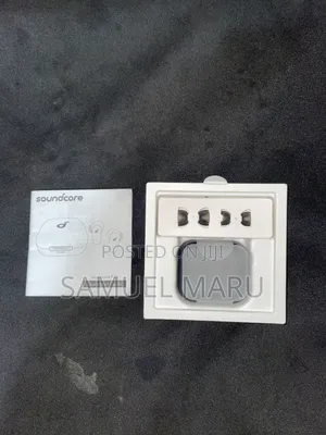 Ear Bud P30i