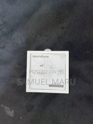 Ear Bud P30i