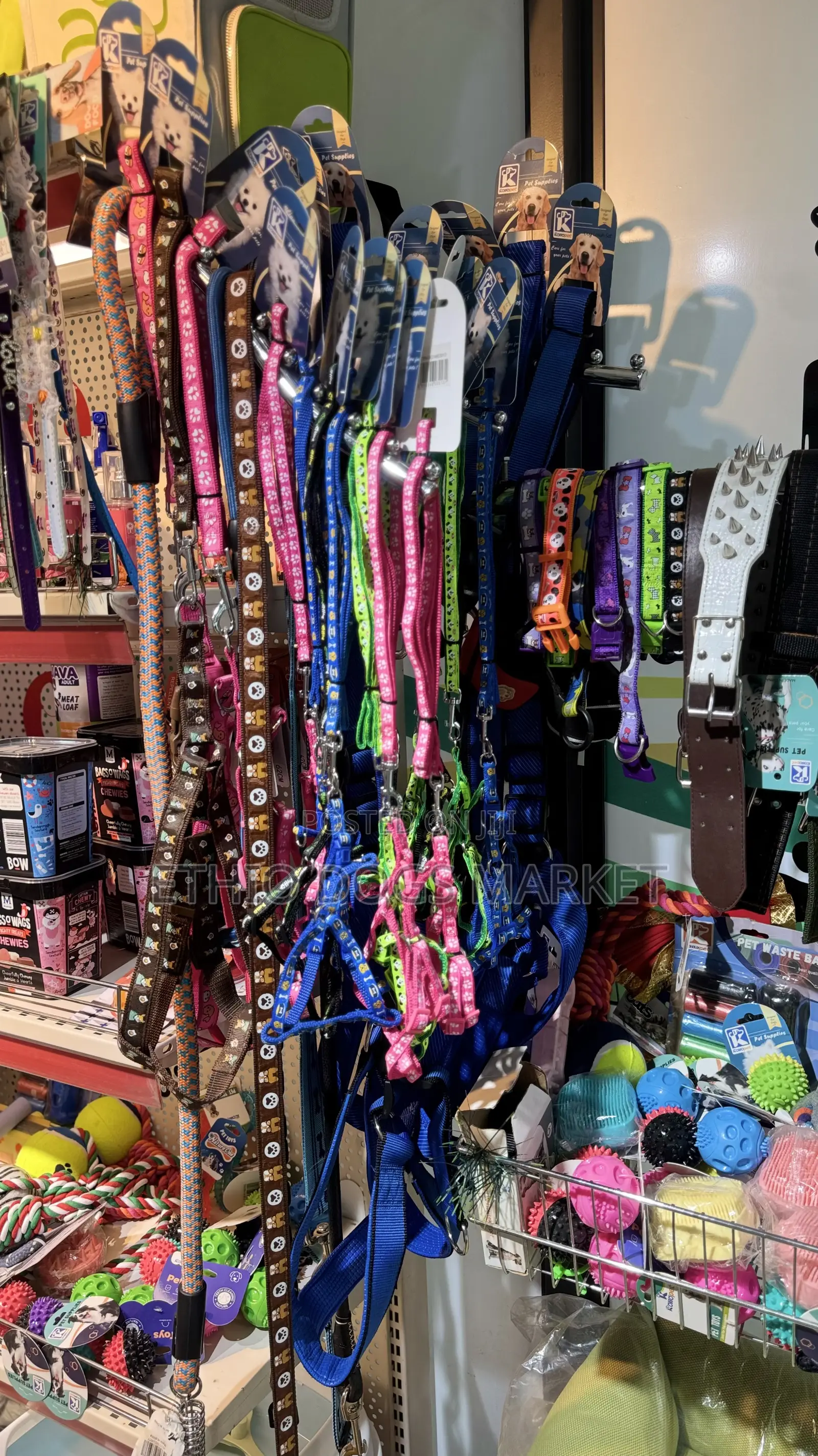 Leash and Collar