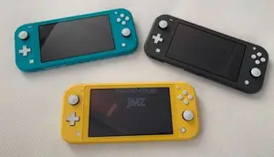 Nintendo Lite በ አሪፍ ዋጋ