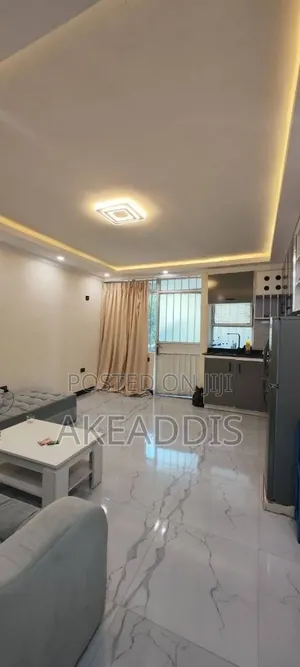 Furnished 1bdrm Condo in Bole Ayat for sale