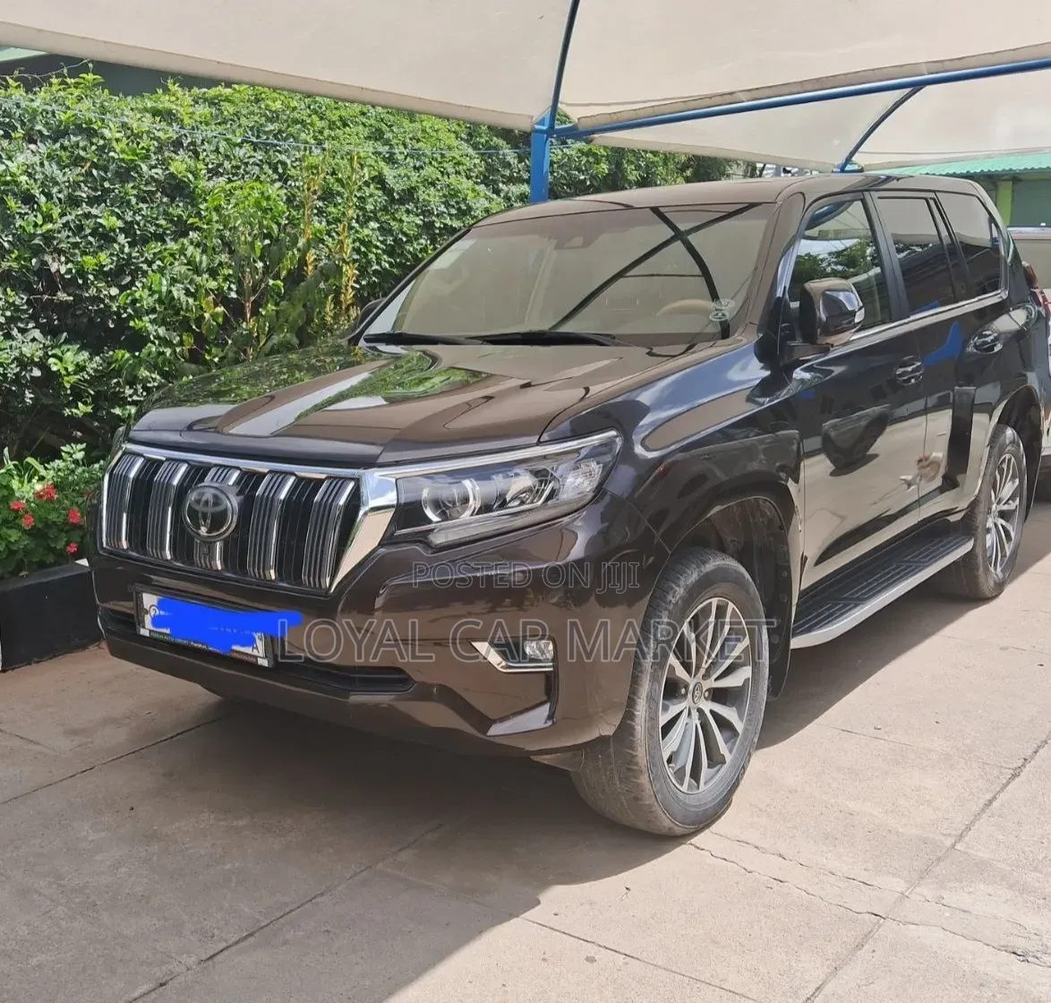 Toyota Land Cruiser Prado 2019 Brown