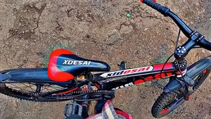 Xdesai Bicycle