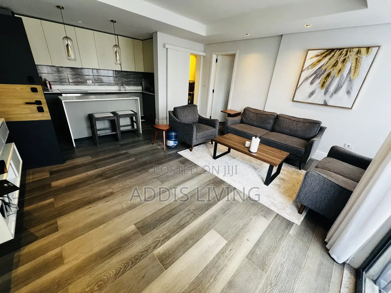 Furnished 1bdrm Apartment in Bole for rent