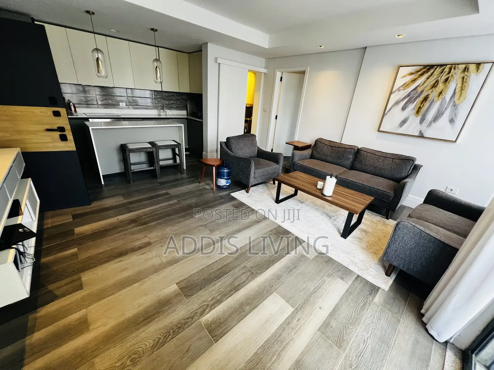 Furnished 1bdrm Apartment in Bole for rent