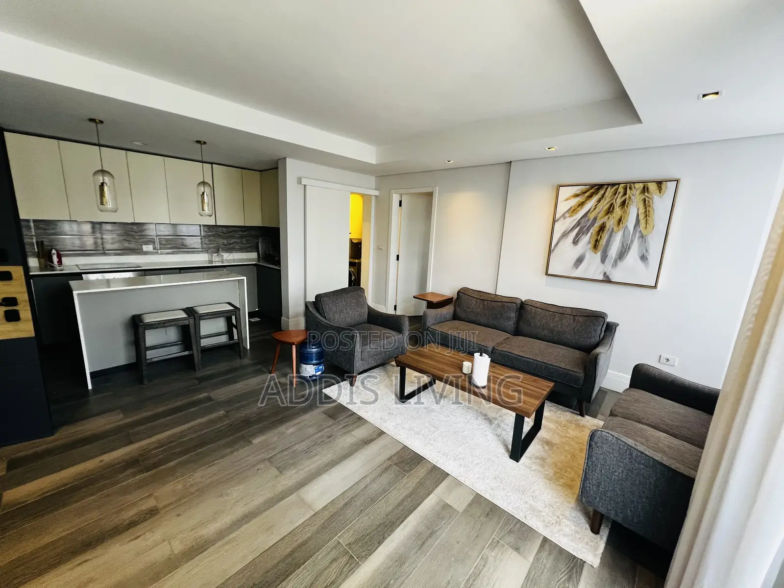 Furnished 1bdrm Apartment in Bole for rent