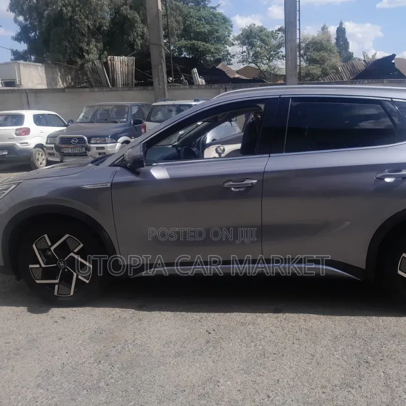 BYD Yuan Plus 2025 Gray