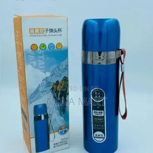 500ml Stainless Steel
