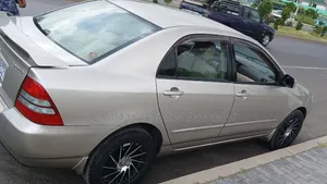 Toyota Corolla 2004 Gold