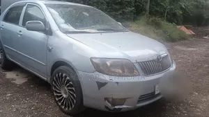 Toyota Corolla 2006 Blue