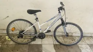 Bicycle Cyclist