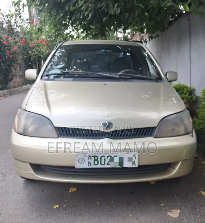 Toyota Platz 2001 Gold