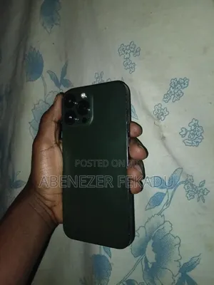 Apple iPhone 13 Pro Max 256 GB Green