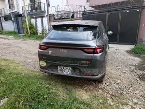 Hozon Neta Aya 2024 Black