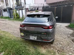 Hozon Neta Aya 2024 Black