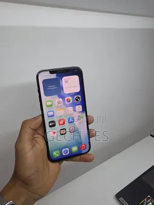 New Apple iPhone 12 Pro Max 256 GB Blue