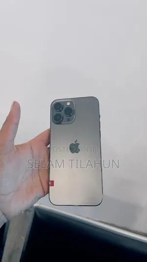 New Apple iPhone 15 Pro Max 256 GB Silver