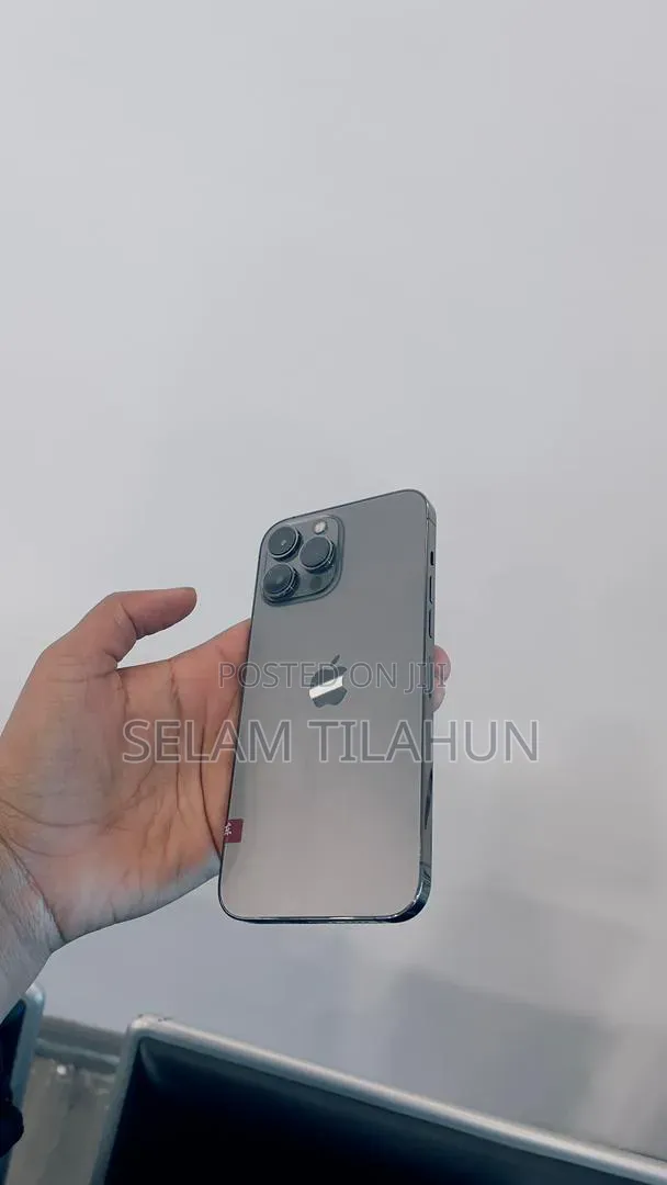 New Apple iPhone 15 Pro Max 256 GB Silver