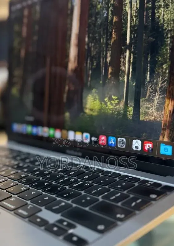 New Laptop Apple MacBook Pro 2020 M1 8GB Apple M1 Pro SSD 256GB