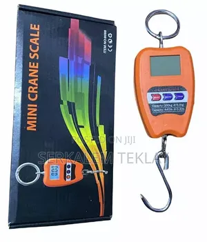 Mine Crane Scale