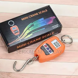 Mine Crane Scale