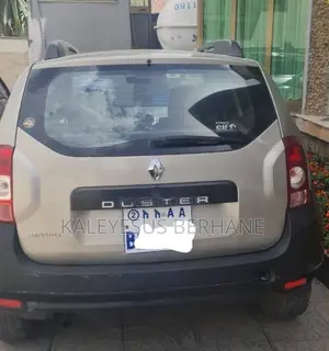 Renault Duster 2012 Gray